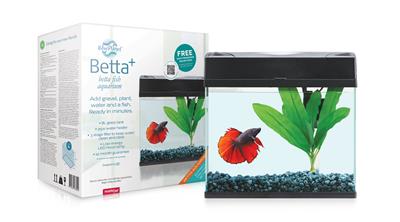 Blue Planet Aquarium Betta Plus with LED - Nano Tanks Australia Aquarium Shop