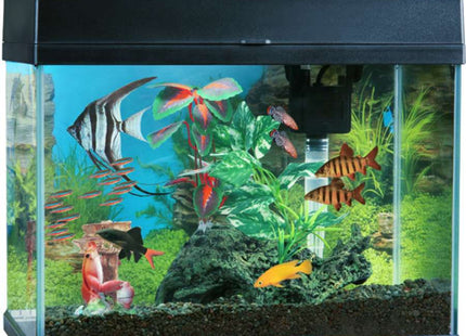 Blue Planet Classic Aquarium 20L - Nano Tanks Australia Aquarium Shop