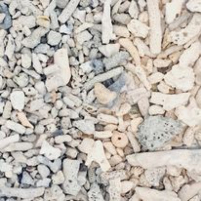 Crushed Coral Sold Per kG - Nano Tanks Australia Aquarium Shop