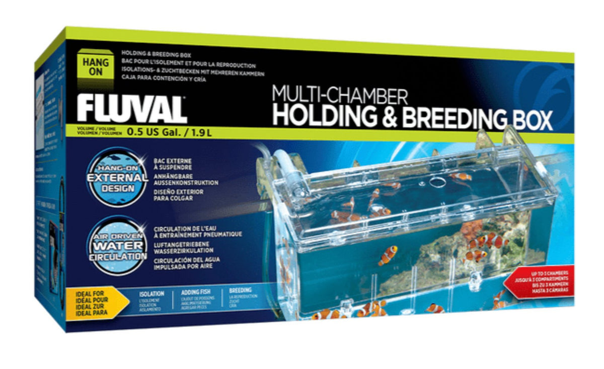 Fluval Holding and Breeding Box - Nano Tanks Australia Aquarium Shop