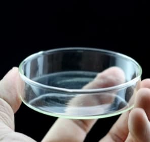 GLASS FEEDING DISH (Large) - Nano Tanks Australia Aquarium Shop