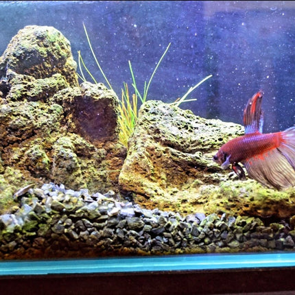High Quality Black Lava Rock per kg - Nano Tanks Australia Aquarium Shop