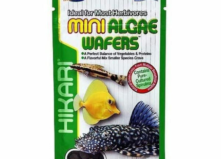 Hikari Mini Algae Wafers 85 Grams - Nano Tanks Australia Aquarium Shop