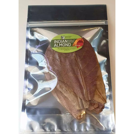 Indian Almond Leaves (10 Pack) IAL - Nano Tanks Australia Aquarium Shop