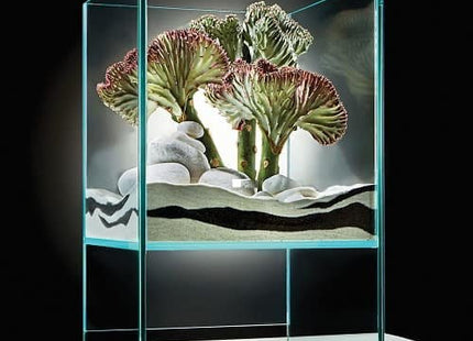 KOMODA SKYCLEAR 'RISE' TERRARIUM - Nano Tanks Australia Aquarium Shop