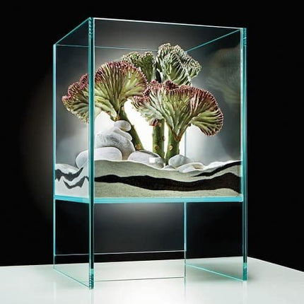 KOMODA SKYCLEAR 'RISE' TERRARIUM - Nano Tanks Australia Aquarium Shop