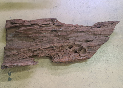 Malaysian Driftwood (Medium-Large) for 2ft+ tanks - Nano Tanks Australia Aquarium Shop
