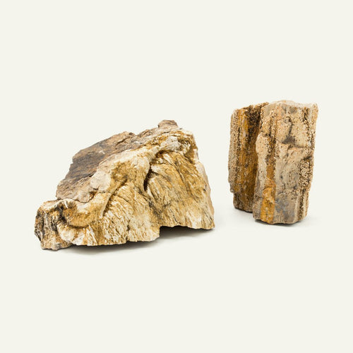 CLEARANCE: Petrified Wood sold per kg