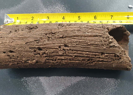Pleco Caves Large - Nano Tanks Australia Aquarium Shop