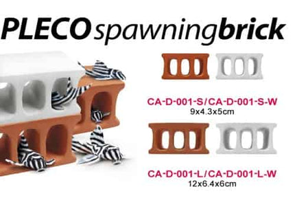 PLECO SPAWNING BRICK BROWN (S) - Nano Tanks Australia Aquarium Shop