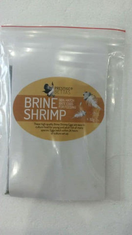 Prestige Bettas Brine Shrimp Eggs 95%+ Hatch Rate - 10 Grams TIBET STRAIN - Nano Tanks Australia Aquarium Shop