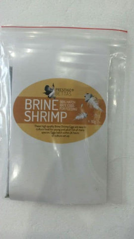 Prestige Bettas Brine Shrimp Eggs 95%+ Hatch Rate - 100 Grams TIBET STRAIN - Nano Tanks Australia Aquarium Shop