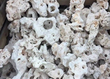Texas Holey Rock PRICE PER kg - Nano Tanks Australia Aquarium Shop