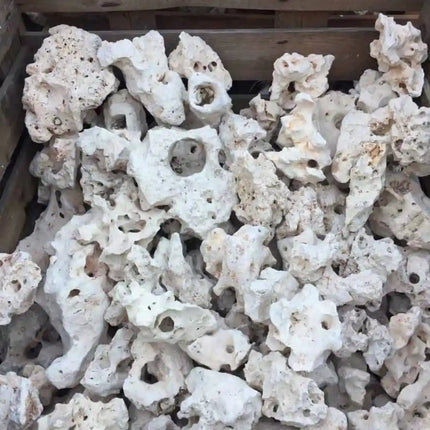 Texas Holey Rock PRICE PER kg - Nano Tanks Australia Aquarium Shop