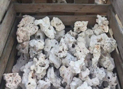 Texas Holey Rock PRICE PER kg - Nano Tanks Australia Aquarium Shop