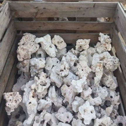 Texas Holey Rock PRICE PER kg - Nano Tanks Australia Aquarium Shop