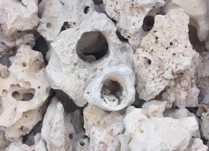 Texas Holey Rock PRICE PER kg - Nano Tanks Australia Aquarium Shop