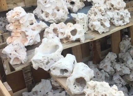 Texas Holey Rock PRICE PER kg - Nano Tanks Australia Aquarium Shop
