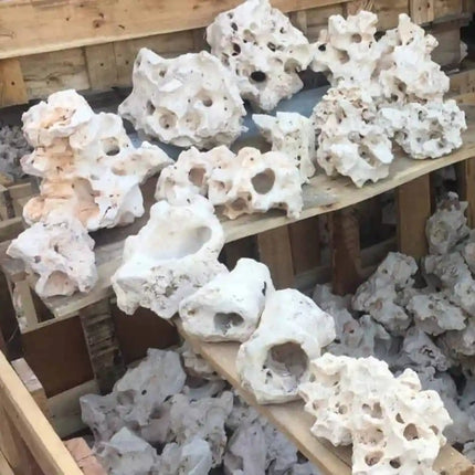 Texas Holey Rock PRICE PER kg - Nano Tanks Australia Aquarium Shop